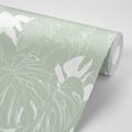 SELF ADHESIVE WALLPAPER UNUSUAL MONSTERA - SELF-ADHESIVE WALLPAPERS - WALLPAPERS