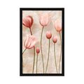 AFFICHE TULIPES ROSES ANCIENNES - FLEURS - AFFICHES