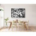 CANVAS PRINT BLOOMING WATERCOLOR TREE IN BLACK AND WHITE - BLACK AND WHITE PICTURES - PICTURES