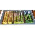 5-PIECE CANVAS PRINT SUNNY MORNING IN THE FOREST - PICTURES OF NATURE AND LANDSCAPE - PICTURES