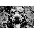 CANVAS PRINT ILLUSTRATION OF A DOG IN BLACK AND WHITE - BLACK AND WHITE PICTURES - PICTURES