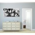 CANVAS PRINT TULIPS WITH A SPRING TOUCH IN BLACK AND WHITE - BLACK AND WHITE PICTURES - PICTURES