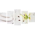 IMPRESSION SUR TOILE EN 5 PARTIES LYS ET PIERRES DE MASSAGE DANS UN DESIGN BLANC - IMPRESSIONS SUR TOILE FENG SHUI - IMPRESSION SUR TOILE