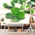 WALL MURAL GREEN FOUR-LEAF CLOVERS - WALLPAPERS NATURE - WALLPAPERS