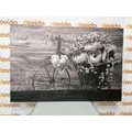 WANDBILD SCHWARZ-WEISSE BLUMEN IN EINER VINTAGE-VASE - SCHWARZ-WEISSE BILDER - BILDER