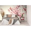 WALL MURAL PINK CHERRY BLOSSOMS - WALLPAPERS FLOWERS - WALLPAPERS