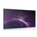 CANVAS PRINT FENG SHUI LOTUSES - PICTURES FENG SHUI - PICTURES