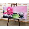 CANVAS PRINT ORCHID WITH A HINT OF RELAXATION - PICTURES FENG SHUI - PICTURES