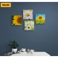 CANVAS PRINT SET BEAUTIFUL FLOWERS IN A MEADOW - SET OF PICTURES - PICTURES