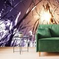 SELF ADHESIVE WALL MURAL FIELD GRASS - SELF-ADHESIVE WALLPAPERS - WALLPAPERS