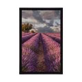 AFFICHE PAYSAGE DE CHAMPS DE LAVANDE - NATURE - AFFICHES