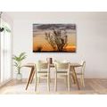 CANVAS PRINT TREE BRANCHES IN THE SUNSET - PICTURES OF NATURE AND LANDSCAPE - PICTURES