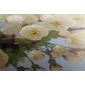 CANVAS PRINT BLOSSOMING CHERRY BRANCH - PICTURES FLOWERS - PICTURES