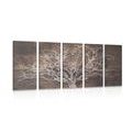 5-PIECE CANVAS PRINT TREE CROWN ON A WOODEN BASE - PICTURES OF TREES AND LEAVES - PICTURES