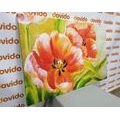 WANDBILD ROTE TULPEN IM INTERESSANTEN DESIGN - BILDER BLUMEN - BILDER