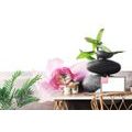 WALL MURAL ZEN STILL LIFE - WALLPAPERS FENG SHUI - WALLPAPERS