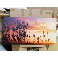 CANVAS PRINT GRASS BLADES ON A FIELD - PICTURES OF NATURE AND LANDSCAPE - PICTURES