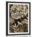 POSTER WITH MOUNT BEAUTIFUL FLOWERS IN SEPIA DESIGN - BLACK AND WHITE - POSTERS