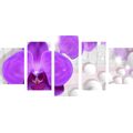 5-PIECE CANVAS PRINT ORCHID ON AN ABSTRACT BACKGROUND - PICTURES FLOWERS - PICTURES