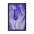 POSTER DANDELION IN PURPLE DESIGN - FLOWERS - POSTERS