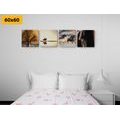 CANVAS PRINT SET FOR HORSE LOVERS - SET OF PICTURES - PICTURES