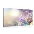 CANVAS PRINT DETAILED VIEW OF A DANDELION - PICTURES FLOWERS - PICTURES