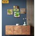 CANVAS PRINT SET FENG SHUI WITH ELEMENTS OF NATURE - SET OF PICTURES - PICTURES