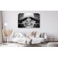 CANVAS PRINT INDIAN DREAM CATCHER IN BLACK AND WHITE - BLACK AND WHITE PICTURES - PICTURES