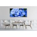 WANDBILD MALERISCHE BLAUE BLUMEN - BILDER BLUMEN - BILDER