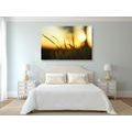 TABLEAU SUR TOILE – COUCHER DE SOLEIL DANS L'HERBE - TABLEAUX DE LA NATURE ET DES PAYSAGES - TABLEAUX