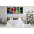 5-PIECE CANVAS PRINT ABSTRACT COLORFUL CHAOS - ABSTRACT PICTURES{% if product.category.pathNames[0] != product.category.name %} - PICTURES{% endif %}