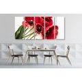 5-PIECE CANVAS PRINT BLOOMING RED TULIPS - PICTURES FLOWERS - PICTURES