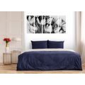 5-PIECE CANVAS PRINT SPRING TULIPS IN BLACK AND WHITE - BLACK AND WHITE PICTURES - PICTURES