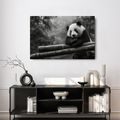 OBRAZ PANDA ODPOČÍVAJÍCÍ NA BAMBUSU - OBRAZY ZVÍŘAT - OBRAZY