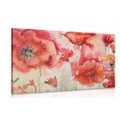 CANVAS PRINT RED POPPIES ON THE FIELD - PICTURES FLOWERS - PICTURES