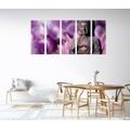 5-TEILIGES WANDBILD FRIEDLICHER BUDDHA - BILDER MIT FENG SHUI-MOTIVEN - BILDER