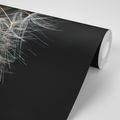 SELF ADHESIVE WALL MURAL BEAUTY OF THE DANDELION - SELF-ADHESIVE WALLPAPERS - WALLPAPERS
