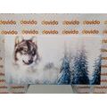 WANDBILD WOLF IN VERSCHNEITER LANDSCHAFT - BILDER TIERE - BILDER