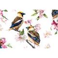 CANVAS PRINT BIRDS ON A TREE BRANCH - VINTAGE AND RETRO PICTURES - PICTURES