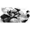 CANVAS PRINT MAGICAL INTERPLAY OF STONES AND ORCHIDS IN BLACK AND WHITE - BLACK AND WHITE PICTURES - PICTURES