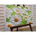 CANVAS PRINT SPRING MEADOW FULL OF FLOWERS - PICTURES FLOWERS{% if product.category.pathNames[0] != product.category.name %} - PICTURES{% endif %}