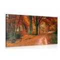 CANVAS PRINT FOREST IN AUTUMN - PICTURES OF NATURE AND LANDSCAPE - PICTURES