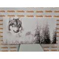 CANVAS PRINT OF A WOLF IN A SNOWY LANDSCAPE IN BLACK AND WHITE - BLACK AND WHITE PICTURES - PICTURES