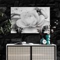 CANVAS PRINT LUXURY ROSE WITH AN ABSTRACTION IN BLACK AND WHITE - BLACK AND WHITE PICTURES - PICTURES