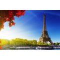 CANVAS PRINT AUTUMN PARIS - PICTURES OF CITIES - PICTURES