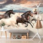 Wallpapers horses