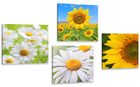 Bilder-Sets