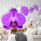 Tapety orchideje