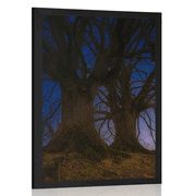 AFFICHE ARBRES DANS UN PAYSAGE NOCTURNE - NATURE - AFFICHES