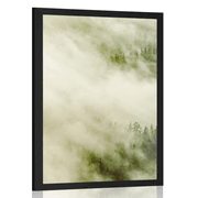 POSTER NEBLIGER WALD - NATUR - POSTER